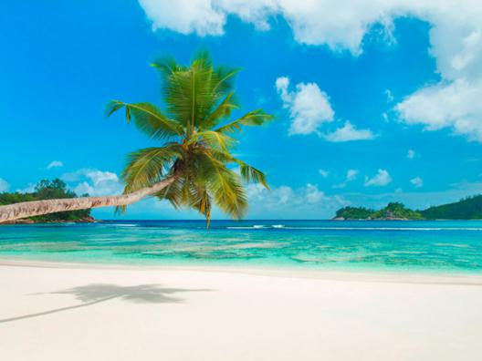 Tropical beach, Seychelles (detail)