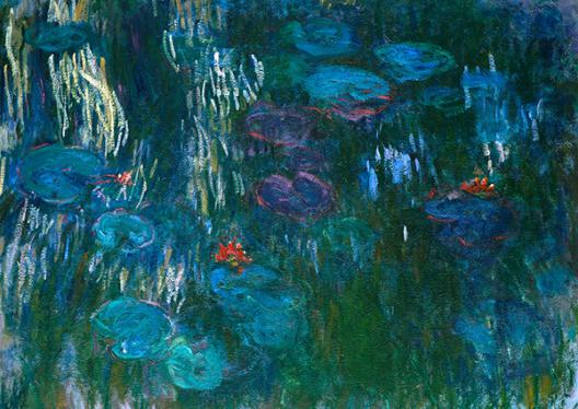 Water Lilies