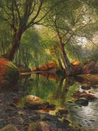 A woodland stream