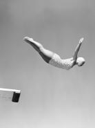 Woman Swan Dive Off Diving Board, 1950