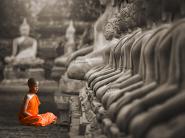 Young Buddhist Monk praying, Thailand (BW)