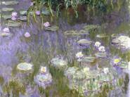 Water Lilies